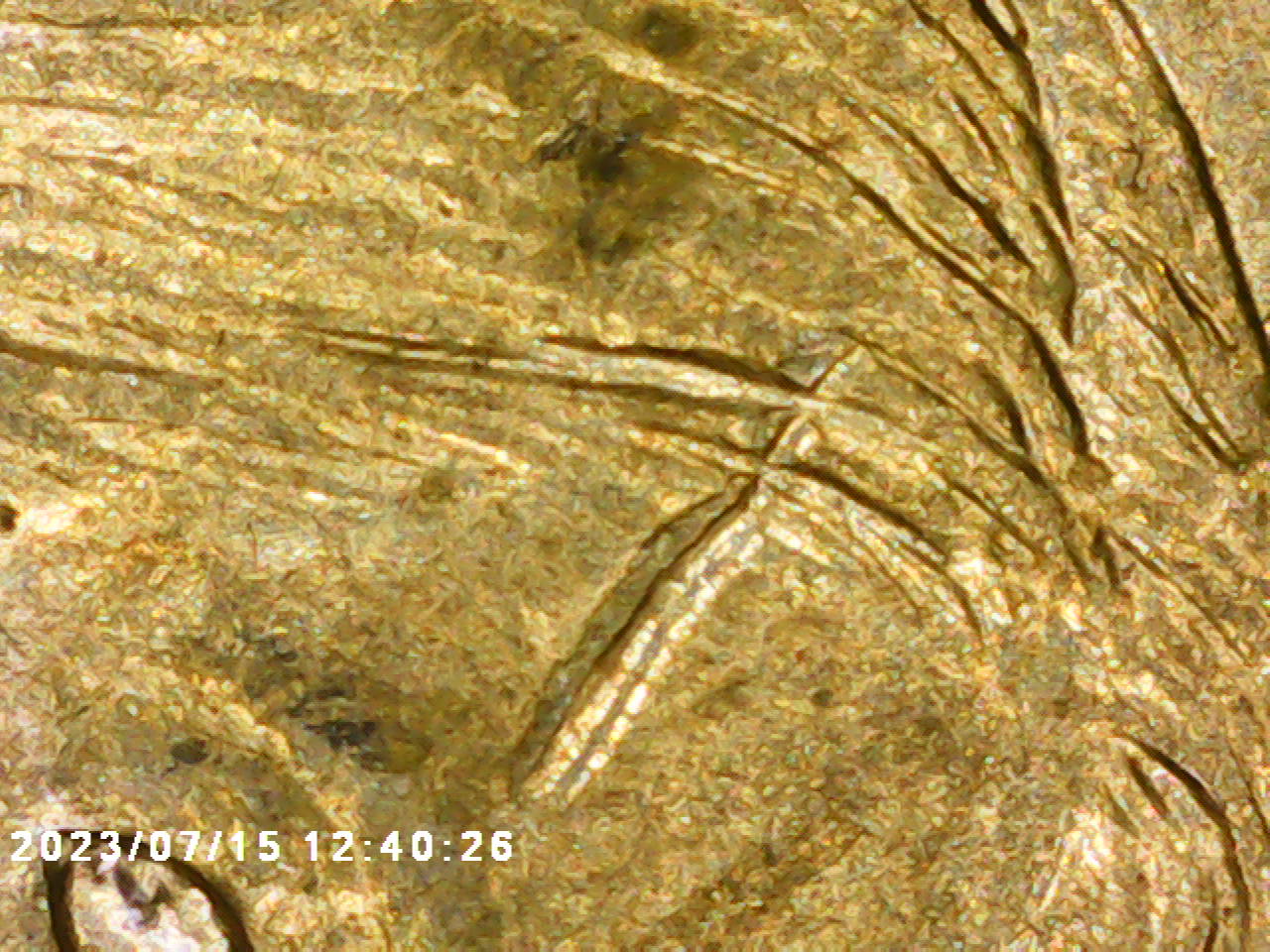 2007-P-Sacagawea-Dollar-With-A-Wounded-Head